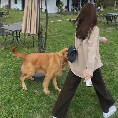 魅影追击